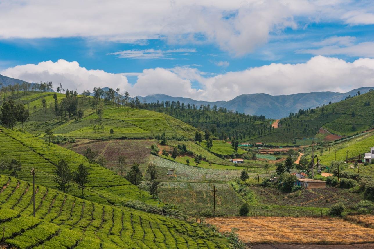 Ooty, Coorg & Mysore Tour Package